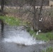 Rainbow trout stocked at Fort McCoy waterways for 2020 fishing season