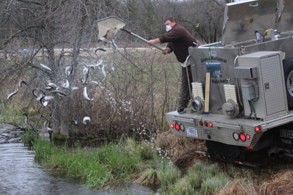 Rainbow trout stocked at Fort McCoy waterways for 2020 fishing season