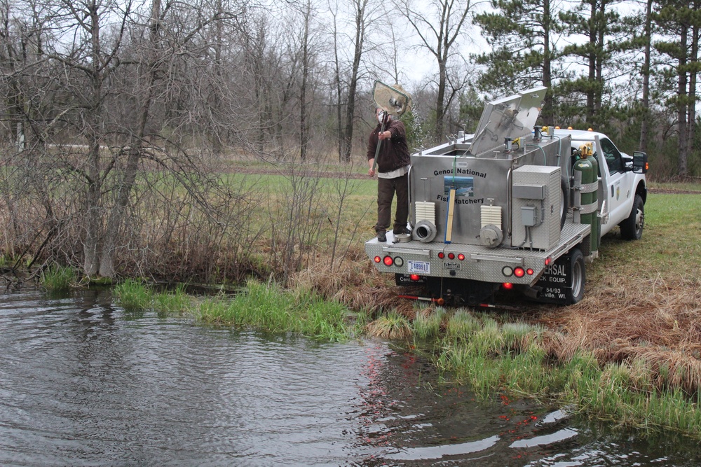 Rainbow trout stocked at Fort McCoy waterways for 2020 fishing season