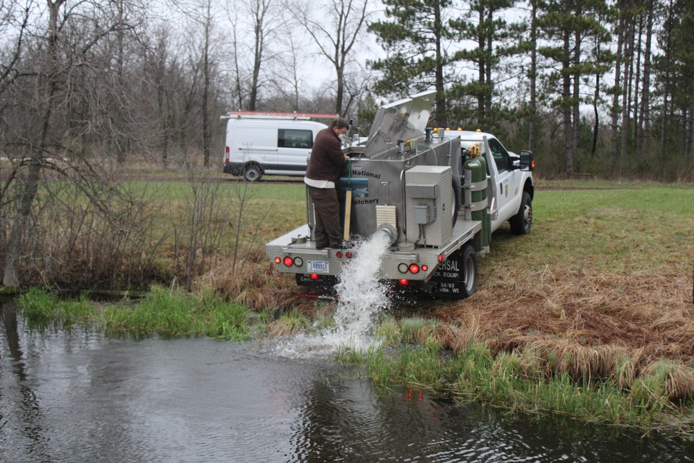 Rainbow trout stocked at Fort McCoy waterways for 2020 fishing season