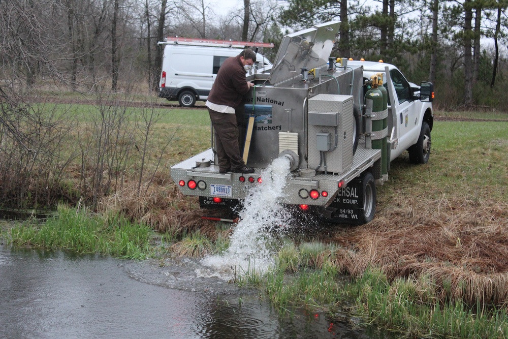 Rainbow trout stocked at Fort McCoy waterways for 2020 fishing season