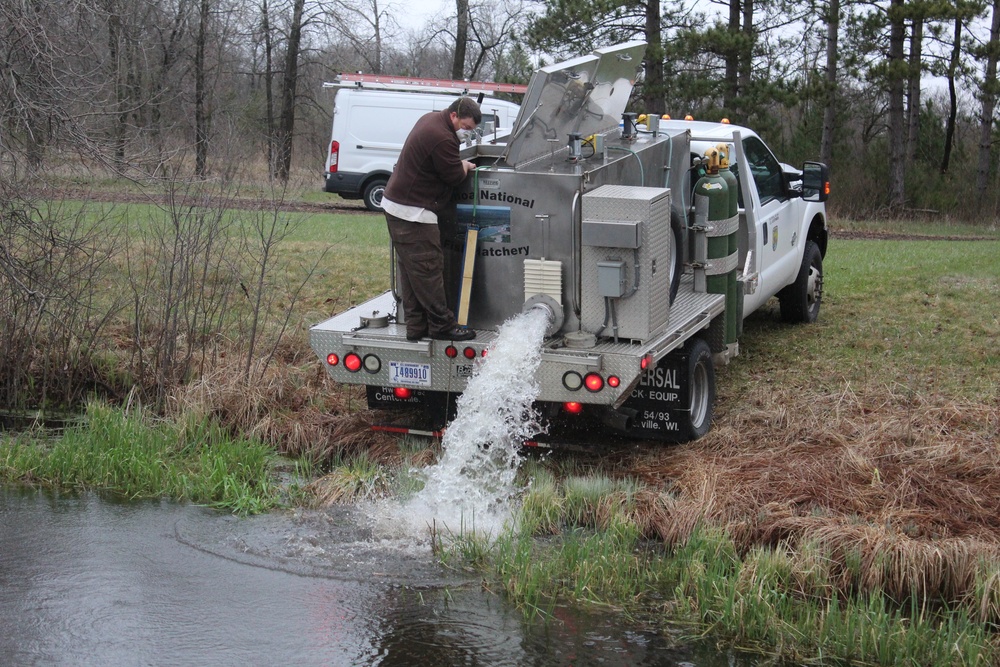 Rainbow trout stocked at Fort McCoy waterways for 2020 fishing season