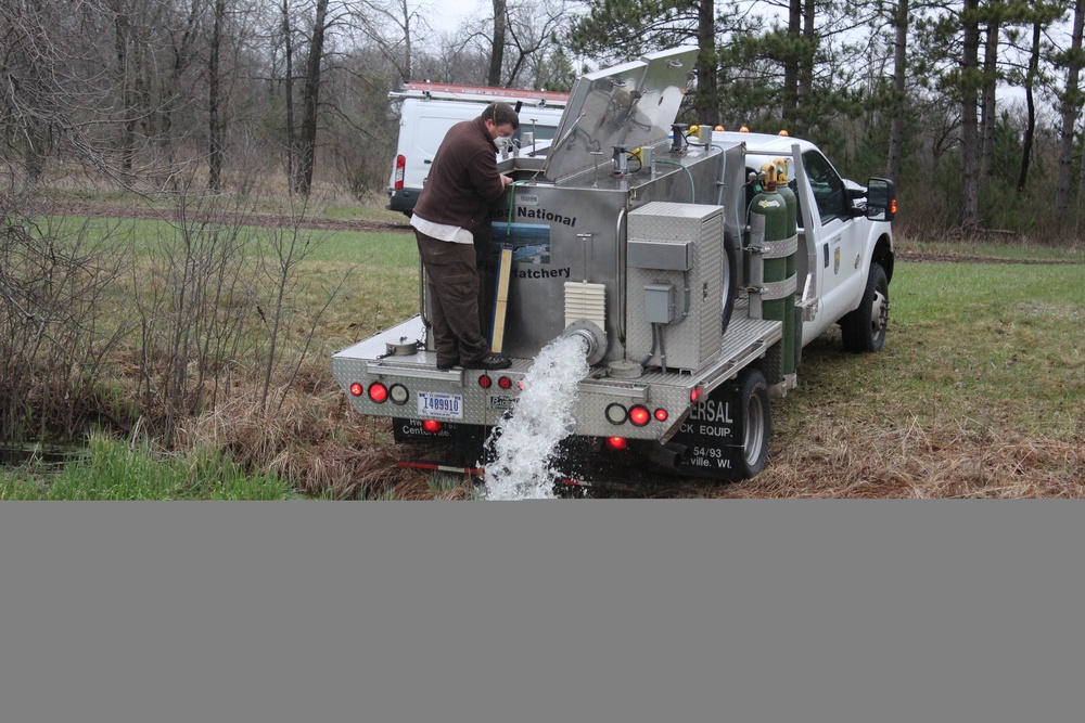 Rainbow trout stocked at Fort McCoy waterways for 2020 fishing season