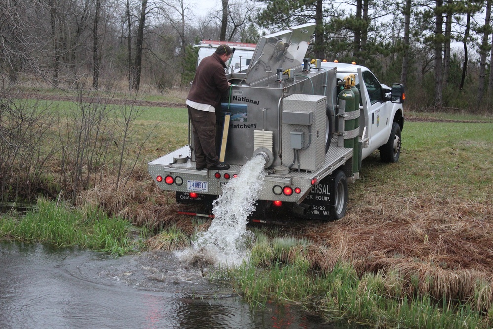 Rainbow trout stocked at Fort McCoy waterways for 2020 fishing season