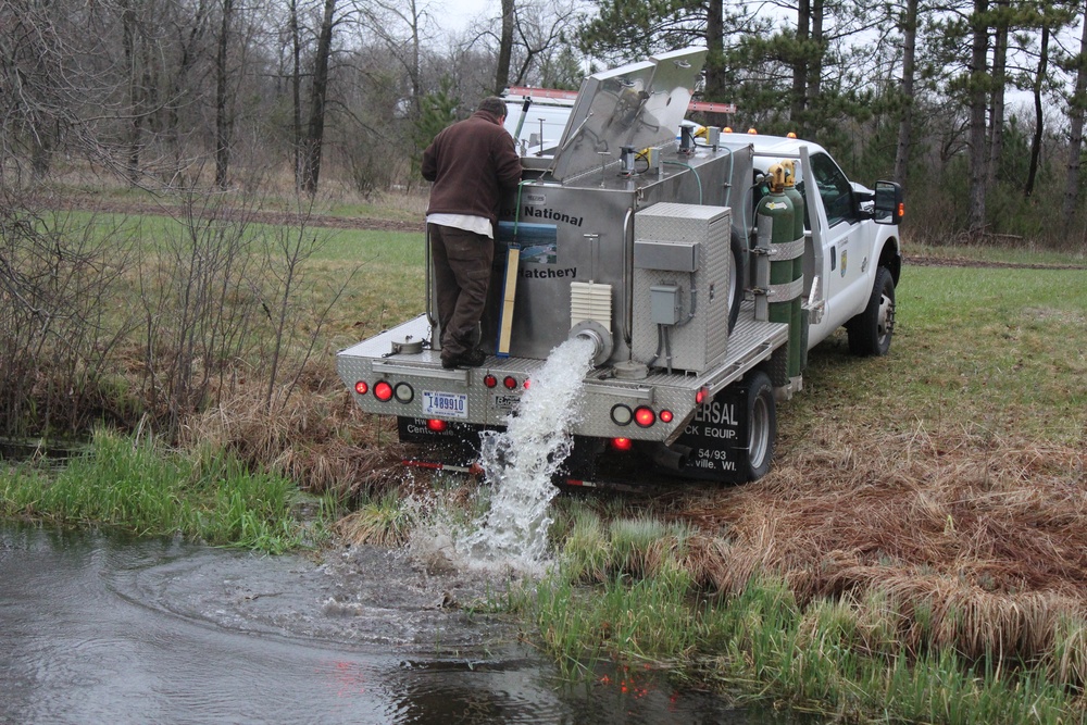 Rainbow trout stocked at Fort McCoy waterways for 2020 fishing season