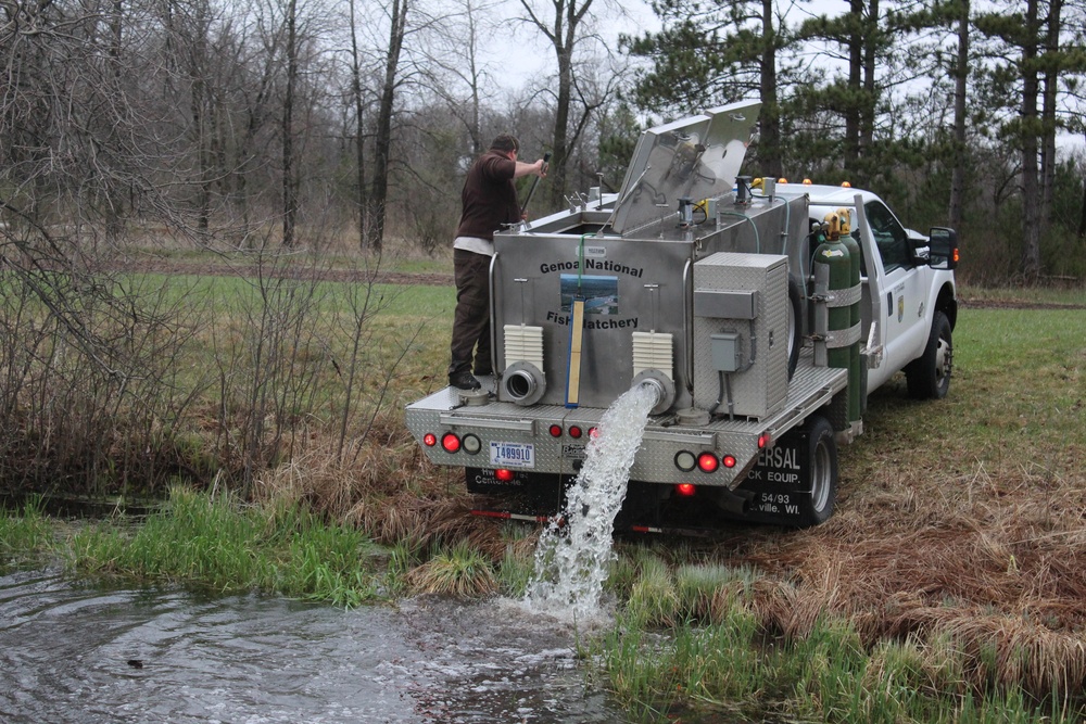 Rainbow trout stocked at Fort McCoy waterways for 2020 fishing season