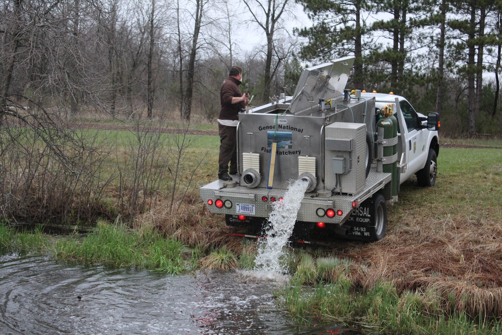 Rainbow trout stocked at Fort McCoy waterways for 2020 fishing season