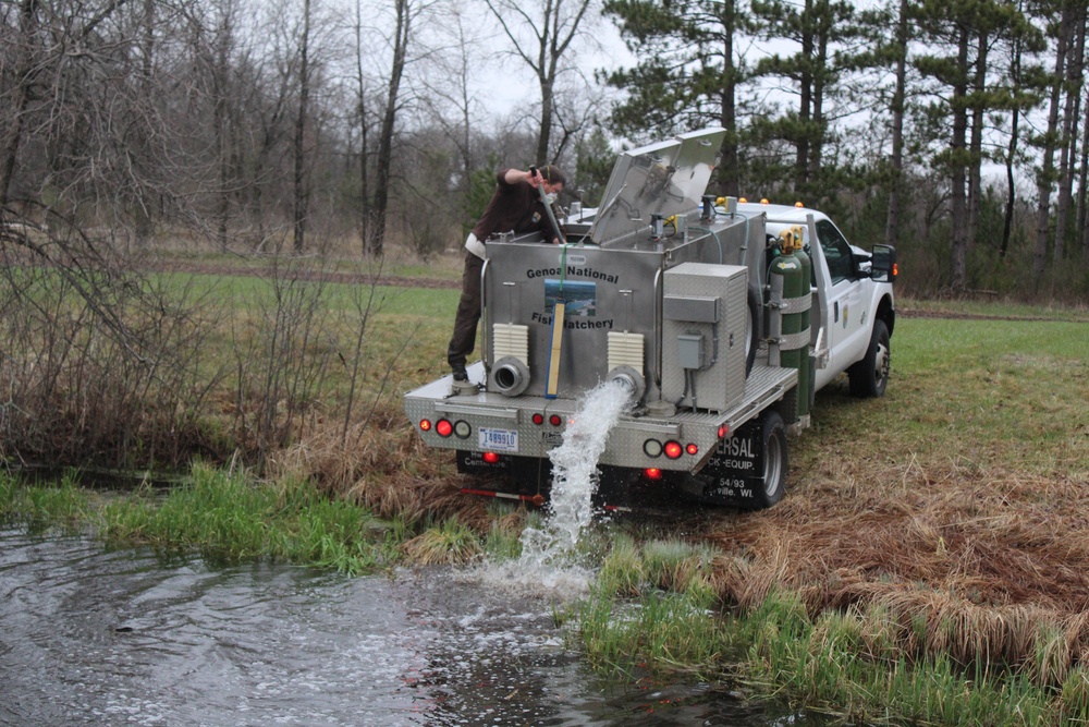 Rainbow trout stocked at Fort McCoy waterways for 2020 fishing season