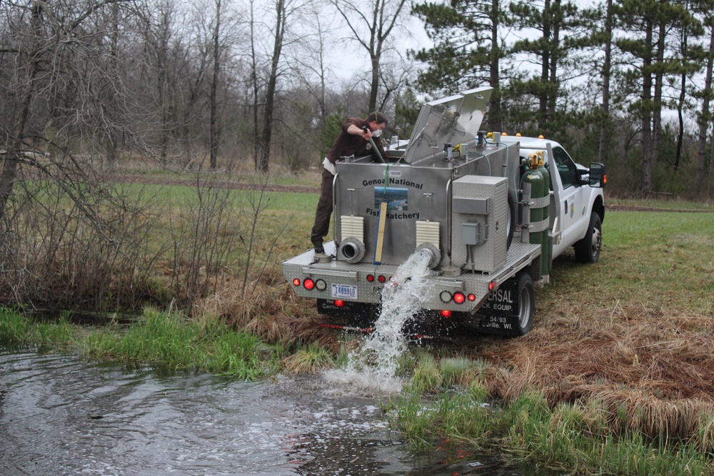 Rainbow trout stocked at Fort McCoy for 2020 fishing season