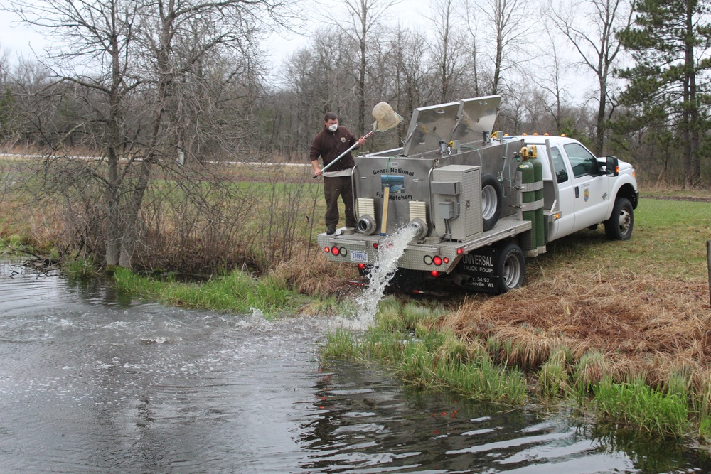 Rainbow trout stocked at Fort McCoy for 2020 fishing season