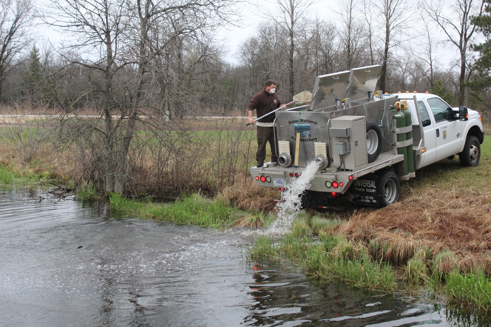 Rainbow trout stocked at Fort McCoy for 2020 fishing season