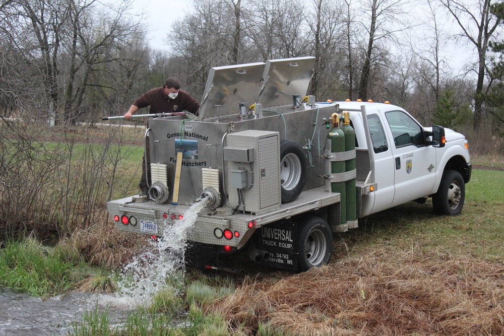 Rainbow trout stocked at Fort McCoy for 2020 fishing season