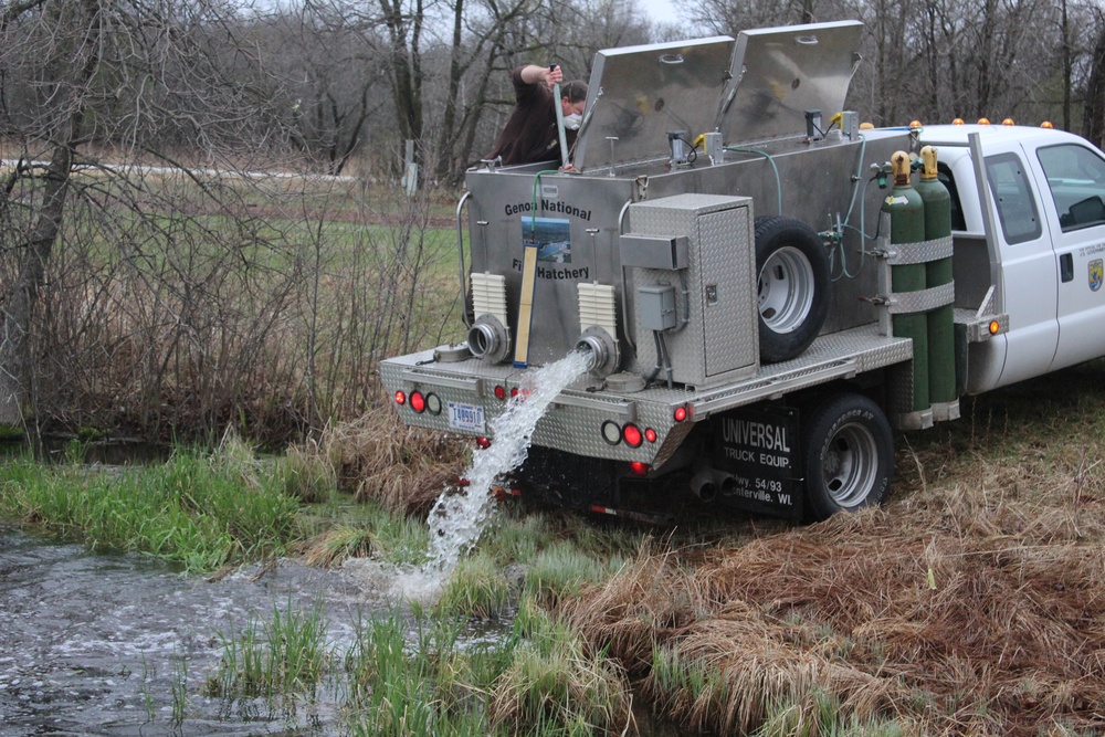 Rainbow trout stocked at Fort McCoy for 2020 fishing season