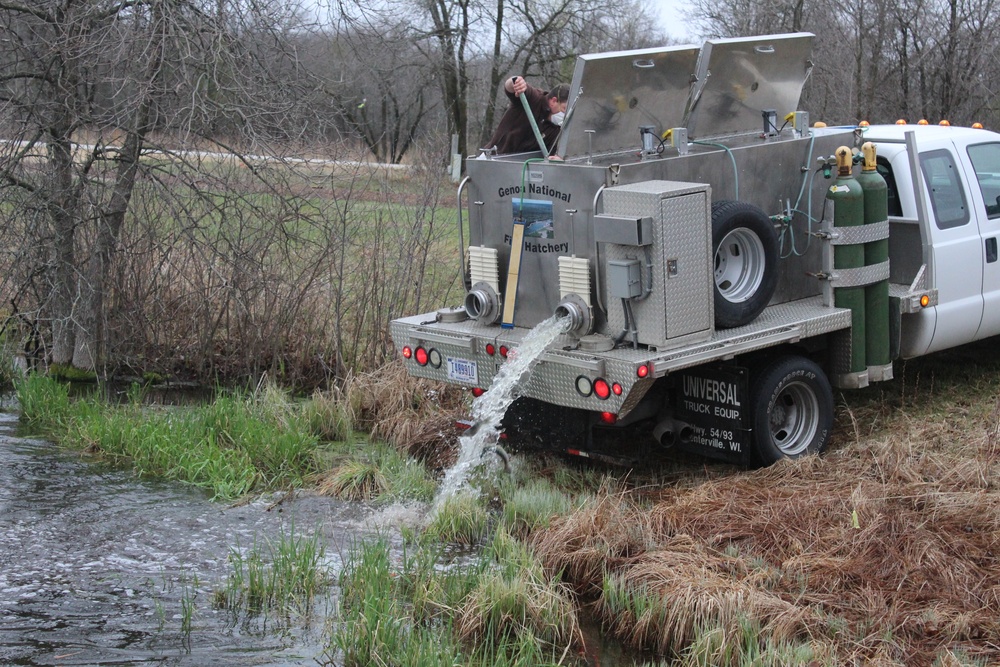 Rainbow trout stocked at Fort McCoy for 2020 fishing season