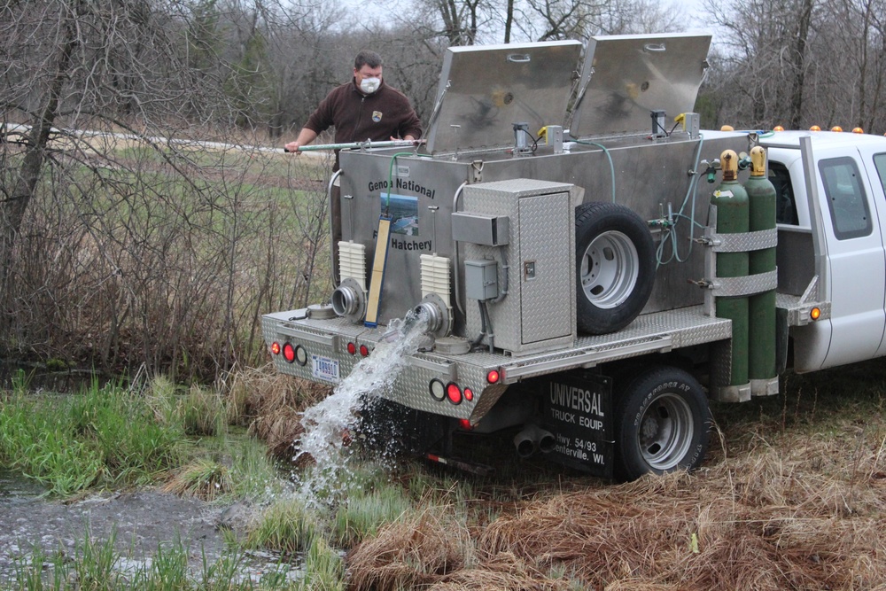 Rainbow trout stocked at Fort McCoy for 2020 fishing season