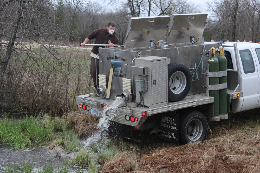 Rainbow trout stocked at Fort McCoy for 2020 fishing season