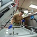 USNS Mercy Sailor Sanitizes Gurneys