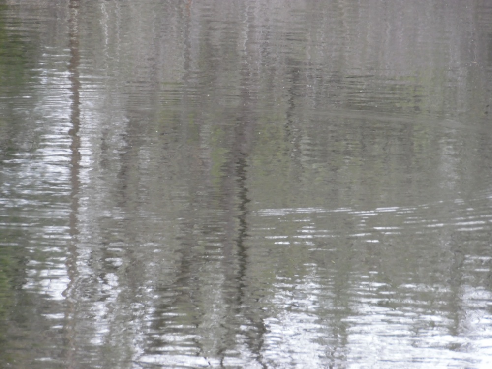 Fort McCoy's Sparta Pond Recreation Area