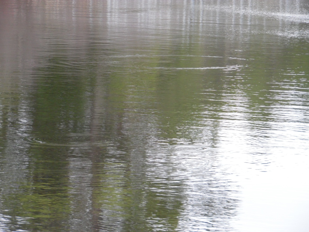 Fort McCoy's Sparta Pond Recreation Area