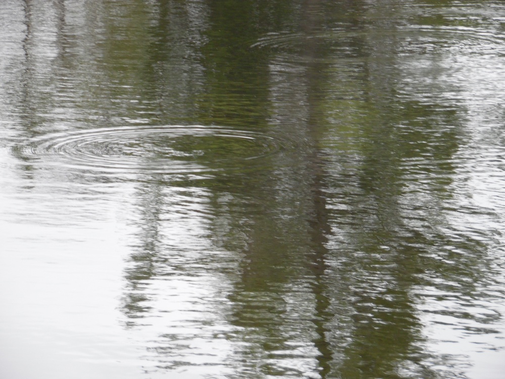 Fort McCoy's Sparta Pond Recreation Area