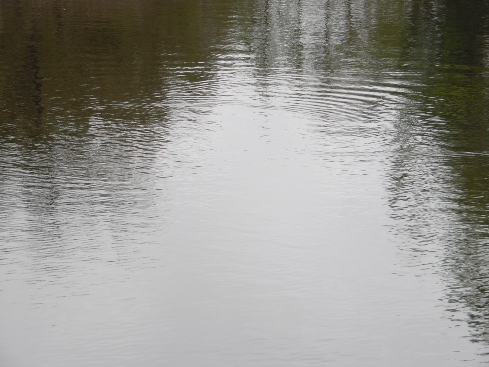 Fort McCoy's Sparta Pond Recreation Area