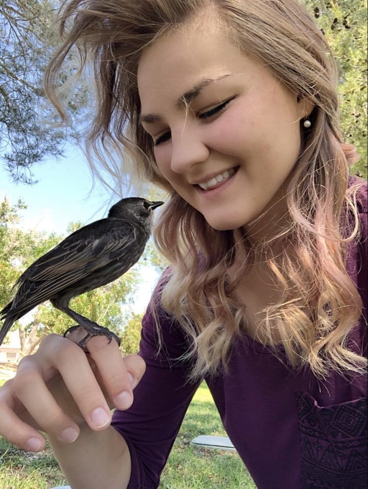 MCLB Barstow's own &quot;Giselle&quot; rescues abandoned starlings