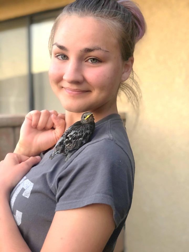 MCLB Barstow's own &quot;Giselle&quot; rescues abandoned starlings