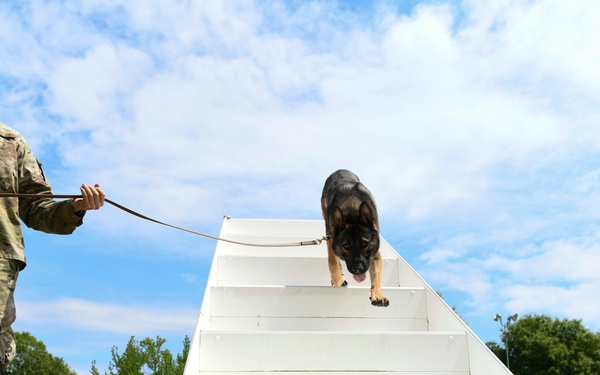 JBA MWD section showcases training capabilities during Police Week