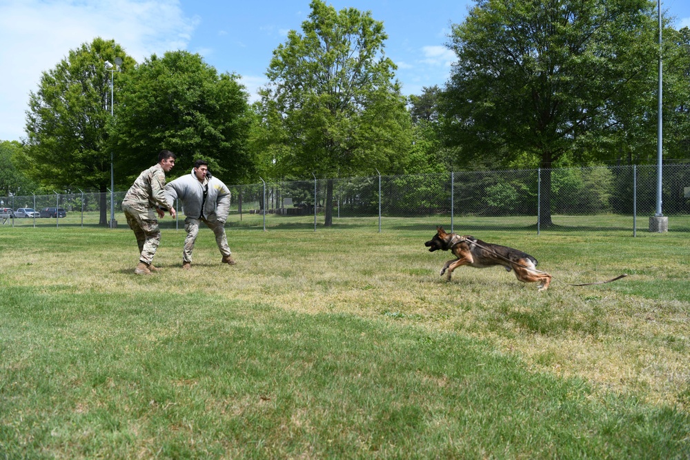 JBA MWD section showcases training capabilities during Police Week