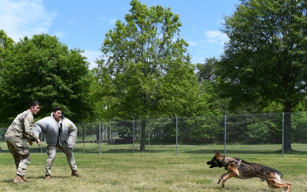 JBA MWD section showcases training capabilities during Police Week