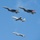 Idaho Air National Guard and Air Force join forces in flight to honor essential workers