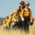 During COVID-19 crisis, Cal Guardsmen prepare for wildfires