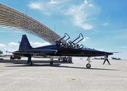 9th RW Salute to Northern California with flyover