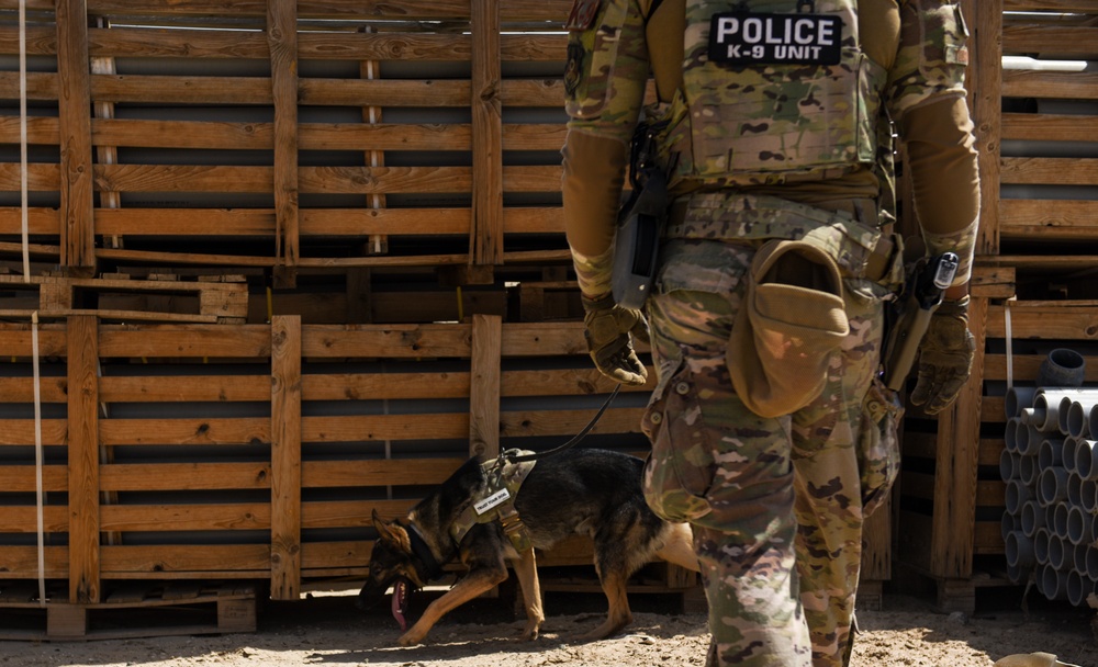 ASAB K-9 perform vital training