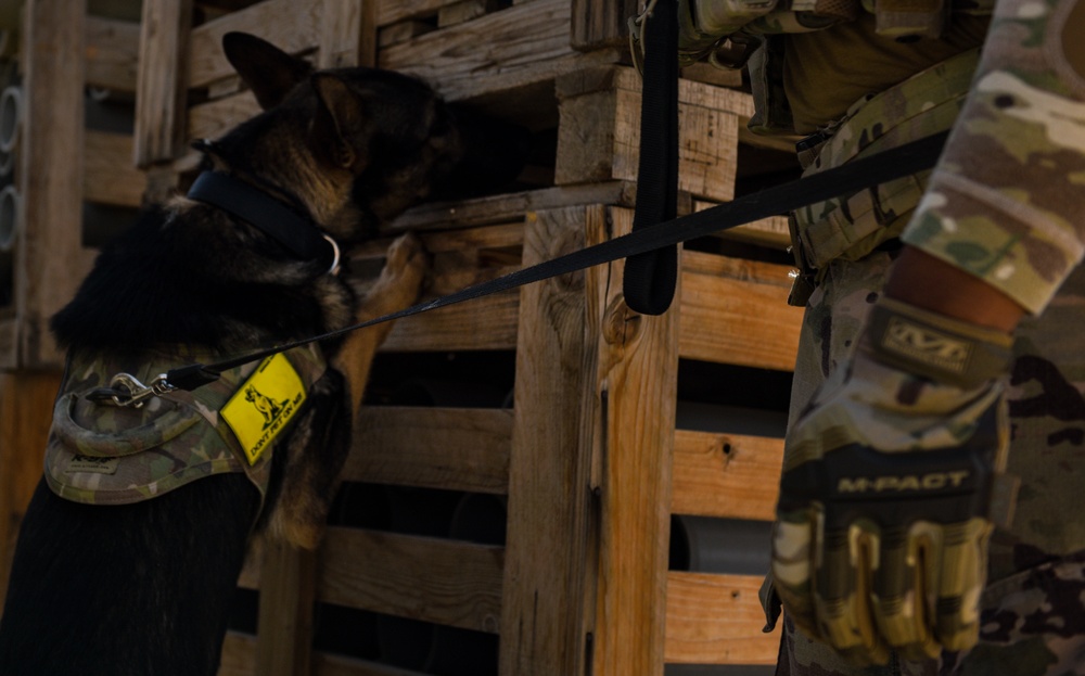 ASAB K-9 perform vital training