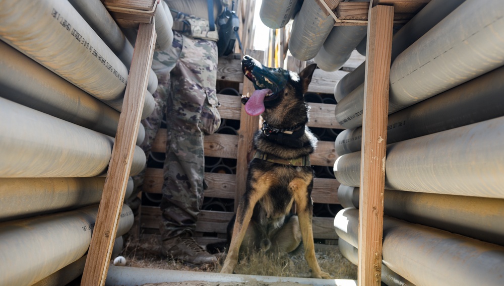 ASAB K-9 perform vital training