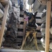 ASAB K-9 perform vital training