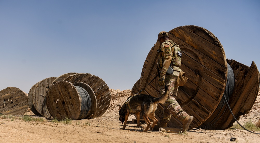 ASAB K-9 perform vital training