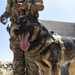 ASAB K-9 perform vital training