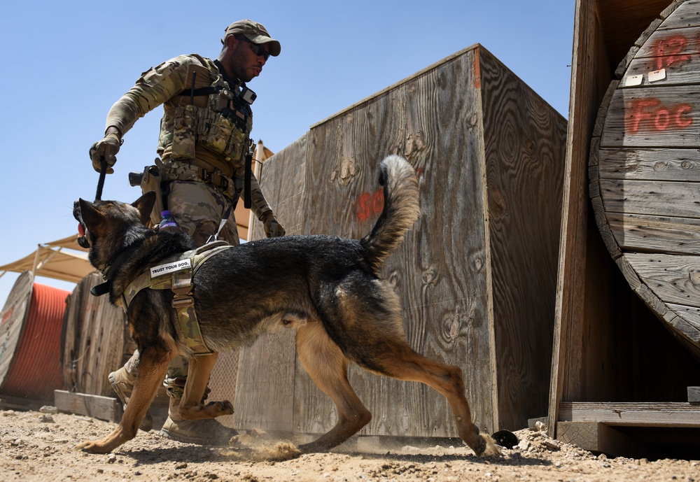 ASAB K-9 perform vital training