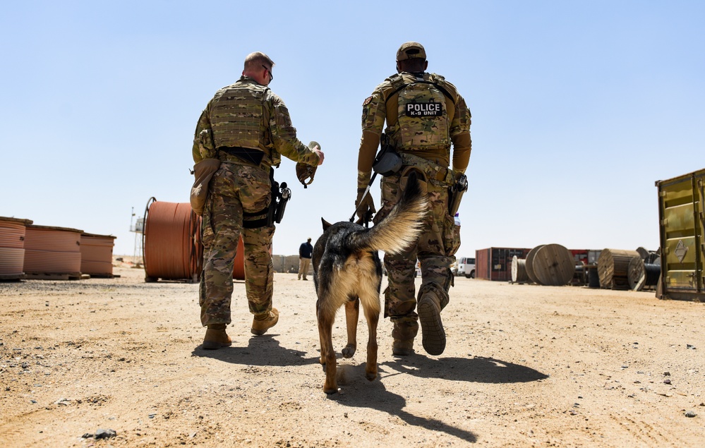 ASAB K-9 perform vital training