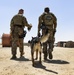 ASAB K-9 perform vital training
