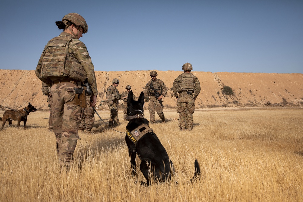 1-25 Military Working Dogs live fire exercise at Al Asad Air Base