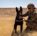 1-25 Military Working Dogs live fire exercise at Al Asad Air Base