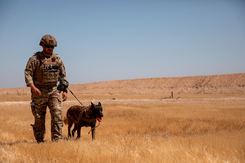 1-25 Military Working Dogs live fire exercise at Al Asad Air Base