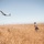 A person in military-style camouflage clothing stands in a dry golden grassland field while a small fixed-wing UAV (unmanned aerial vehicle) flies overhead. The scene appears to depict a drone launch or monitoring operation in an open rural or training area. Utility poles and rolling hills are visible in the background under a clear blue sky.
