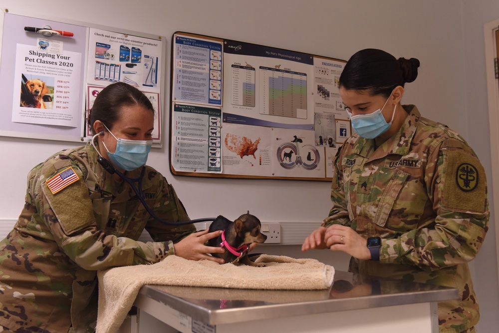 RAF Feltwell VTF provides pet care, ensures MWD readiness