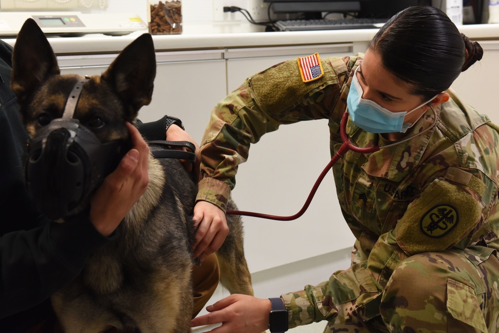 RAF Feltwell VTF provides pet care, ensures MWD readiness