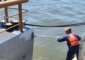 Yellowfin Returns to Charleston