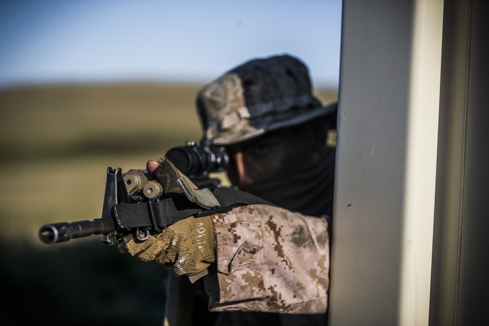 San Clemente Island | Field Exercise